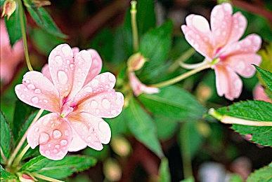 《DOTA2》XG战队官宣新阵容 Ame和XinQ加盟